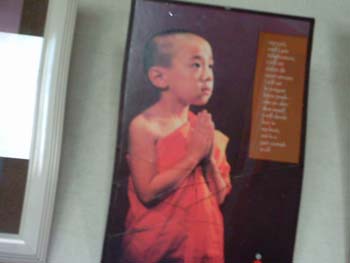 IMAG0461.jpg